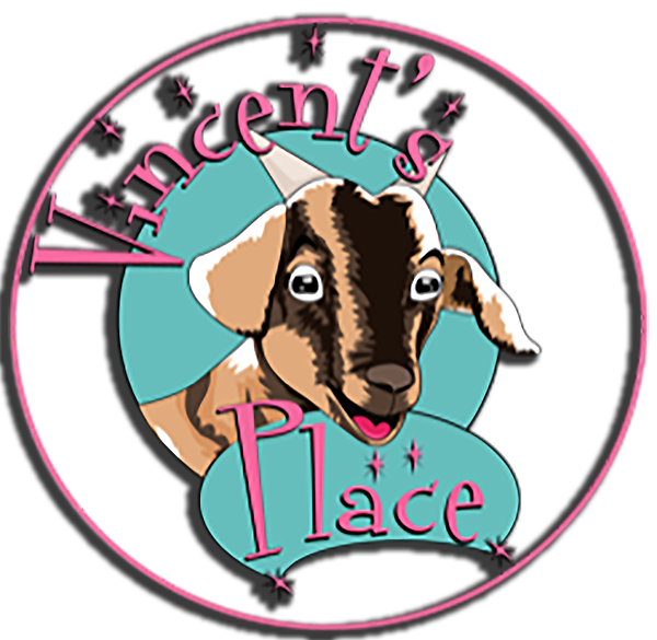 Vincent's Place Logo